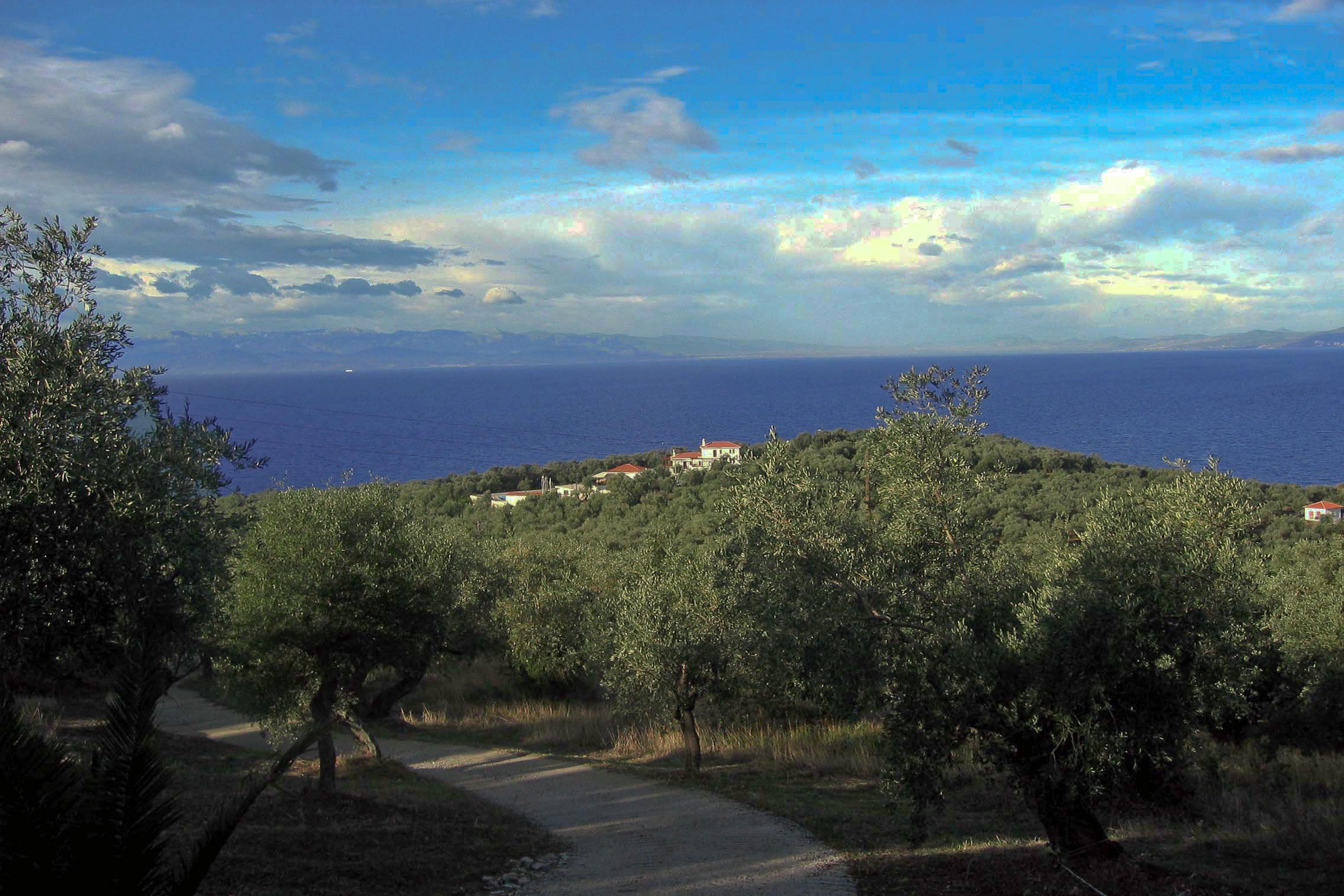 Afissos